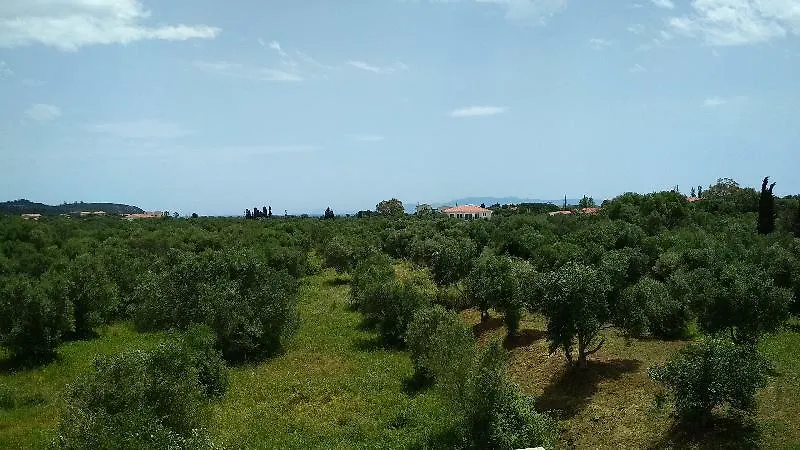 Lägenhetshotell Casa De Rosa Studios & Apartments Kefalonia Island